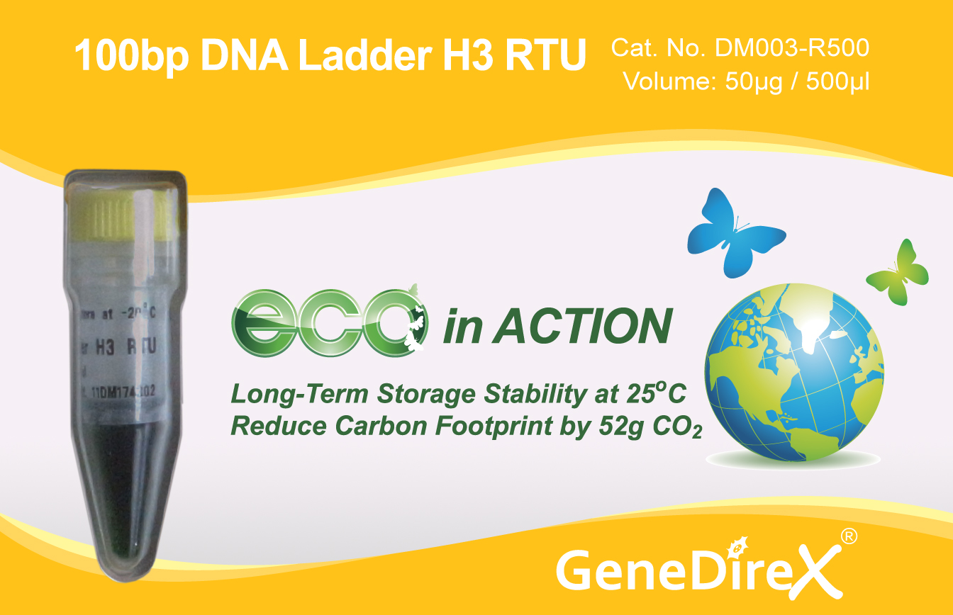 100 Bp Dna Ladder Genedirex